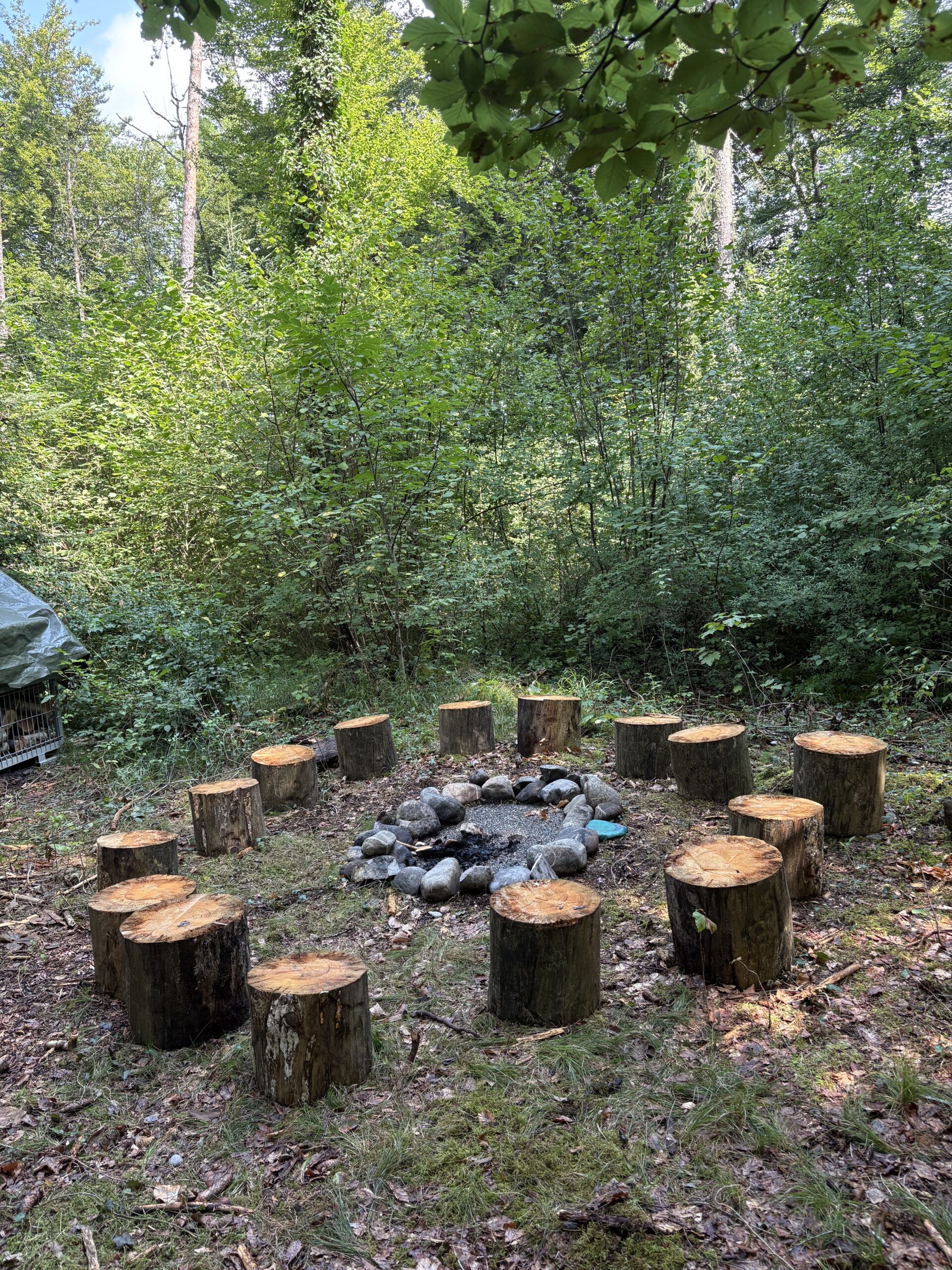 Waldlichtung mit Feuerstelle, ringsum ein Kreis aus Sitzstämmen, dahinter dichter Laubwald