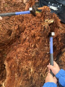 Ein Kind schlägt mit einem grossen Hammer auf einen Haufen Rindenmulch