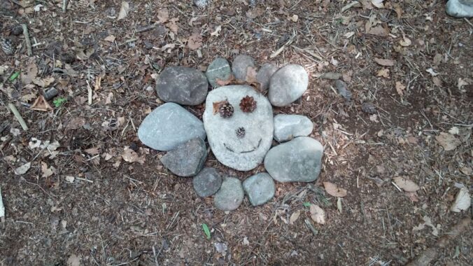 Ein Gesicht aus Steinen auf dem Waldboden gelegt