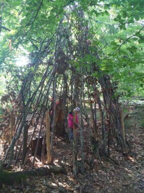 Ein Tipi aus Ästen steht zwischen den Bäumen