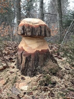 Die geschnitzte Pilzskulptur aus einem Baumstrunk im verschneiten Wald