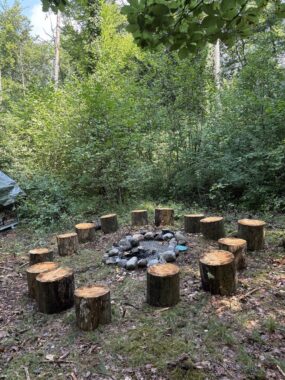 Feuerstelle mit Baumstrünken als Sitzplätze im Kreis