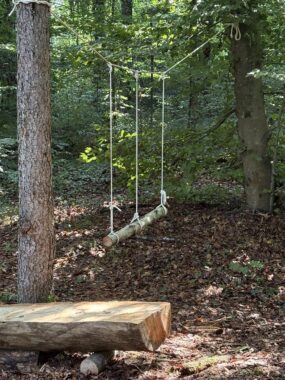 Eine Schaukel aus Seil und Holzbrett hängt an einem Ast