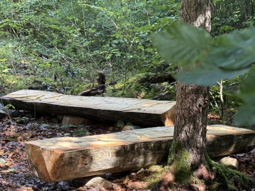 Selbst gebaute Sitzbänke aus Holzbohlen zwischen den Bäumen