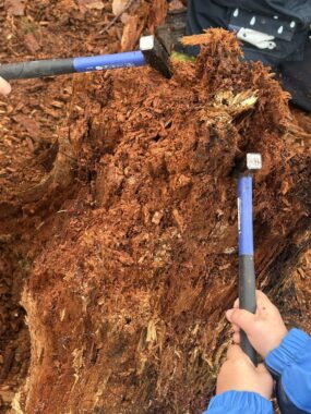 Ein Kind schlägt mit einem grossen Hammer auf einen Haufen Rindenmulch